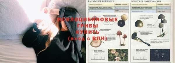 наркотики Баксан