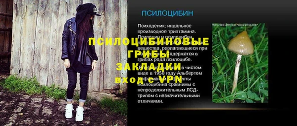 apvp Балабаново