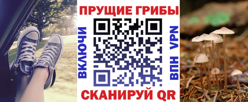 hydra маркетплейс  Новая Ладога  Галлюциногенные грибы ЛСД 