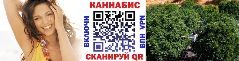 Бошки марихуана индика  Новая Ладога 